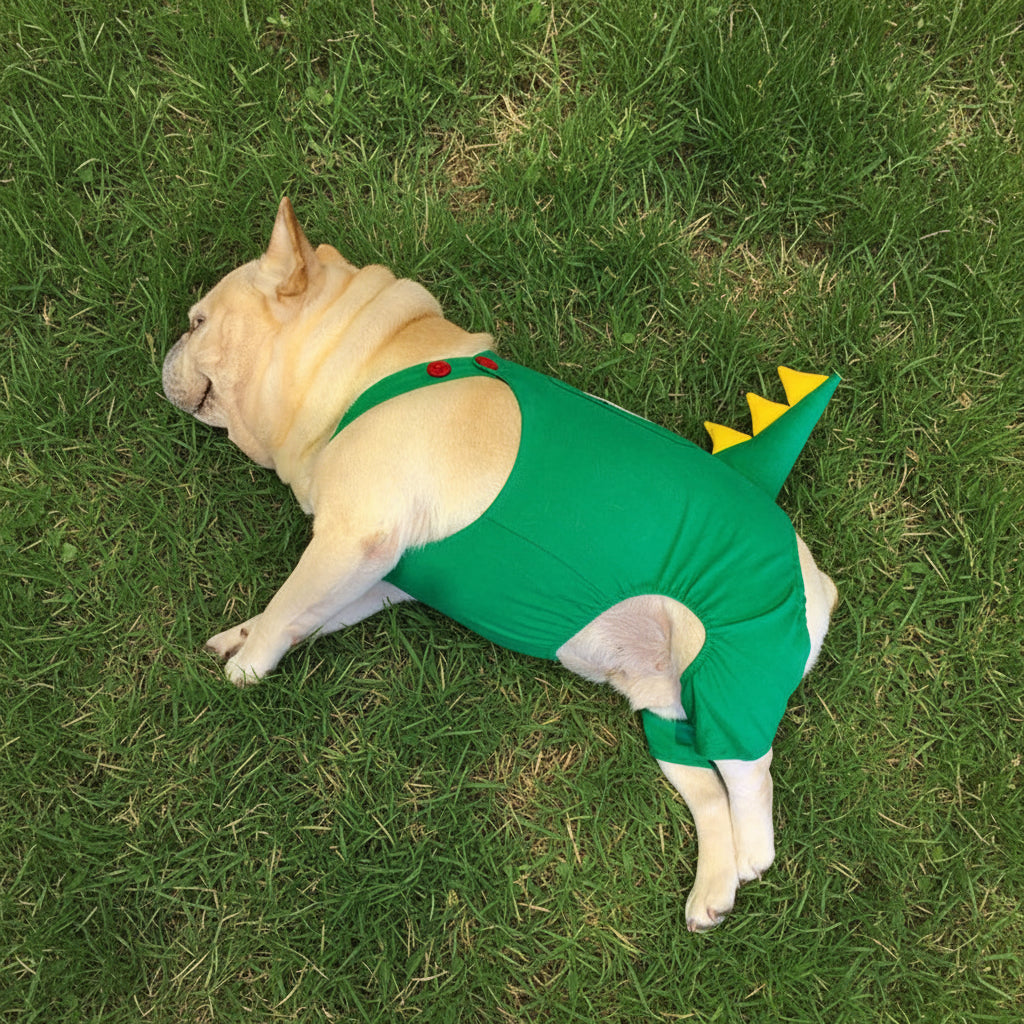 Dinosaur Print Dog Overalls – Casual Cotton Outfit