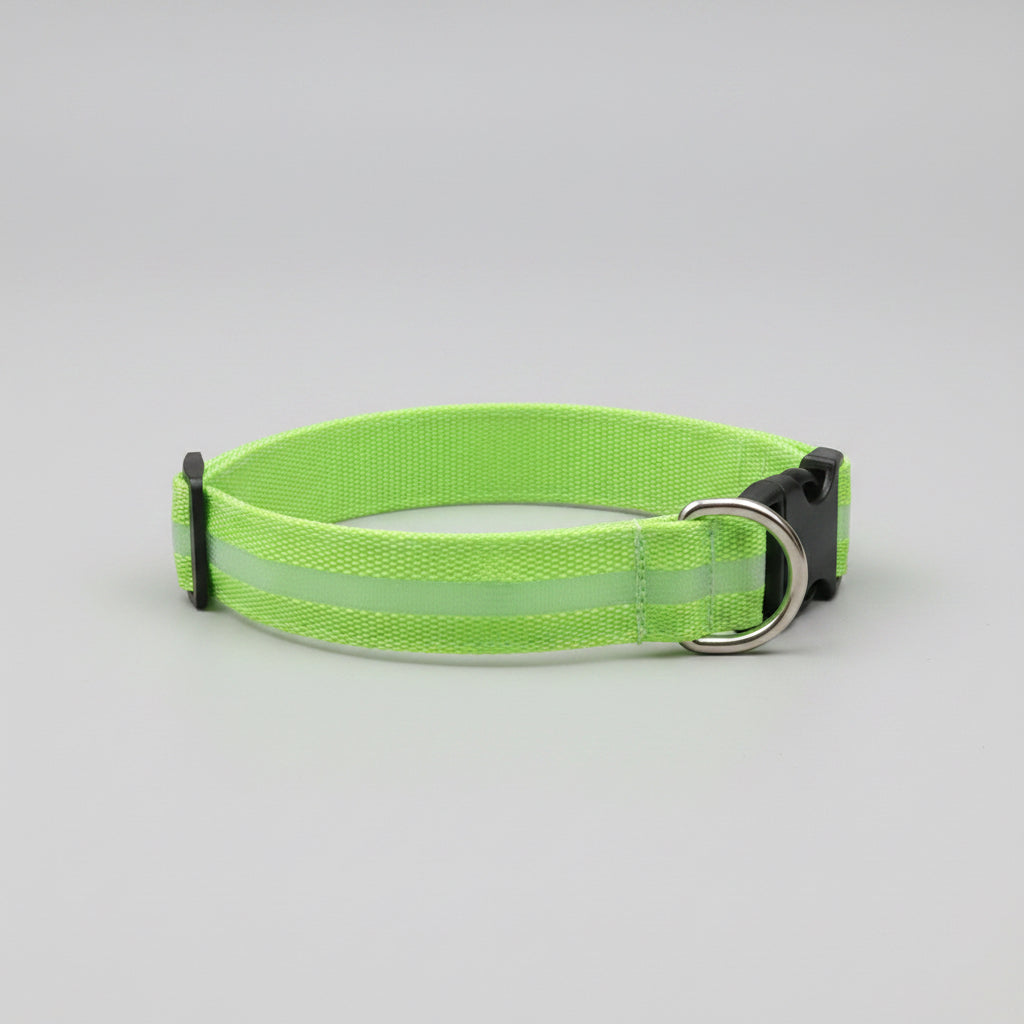 LED Dog Collar – USB Rechargeable Glow Safety Collar for Night Walks