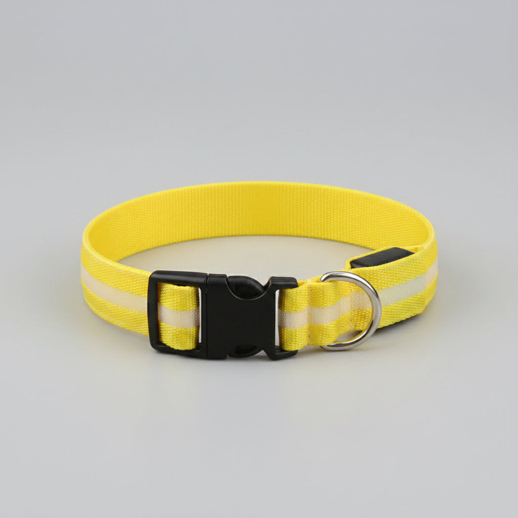 LED Dog Collar – USB Rechargeable Glow Safety Collar for Night Walks