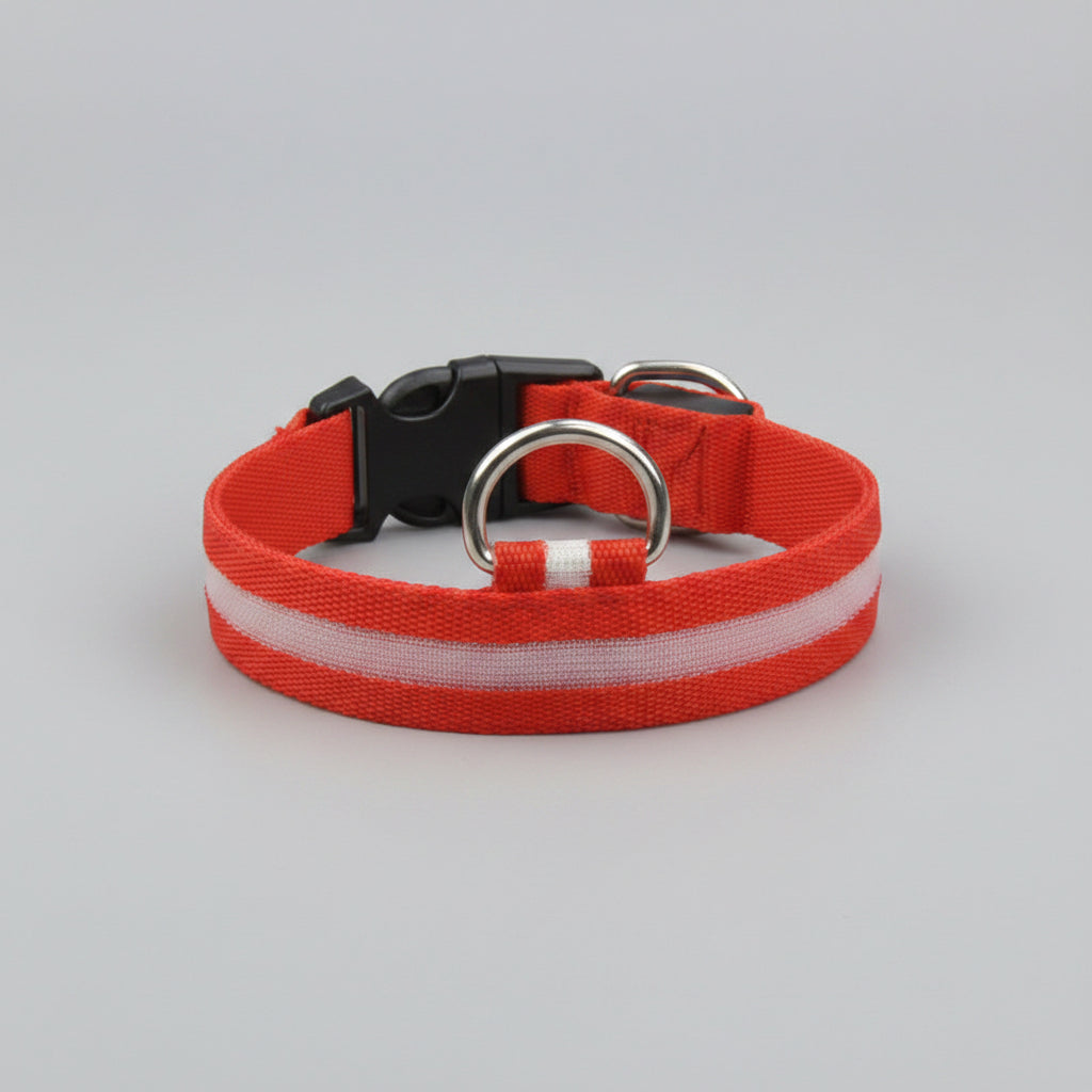 LED Dog Collar – USB Rechargeable Glow Safety Collar for Night Walks