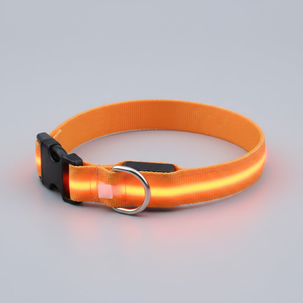 LED Dog Collar – USB Rechargeable Glow Safety Collar for Night Walks