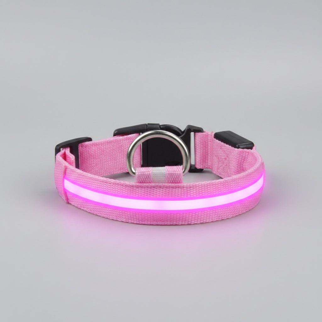 LED Dog Collar – USB Rechargeable Glow Safety Collar for Night Walks