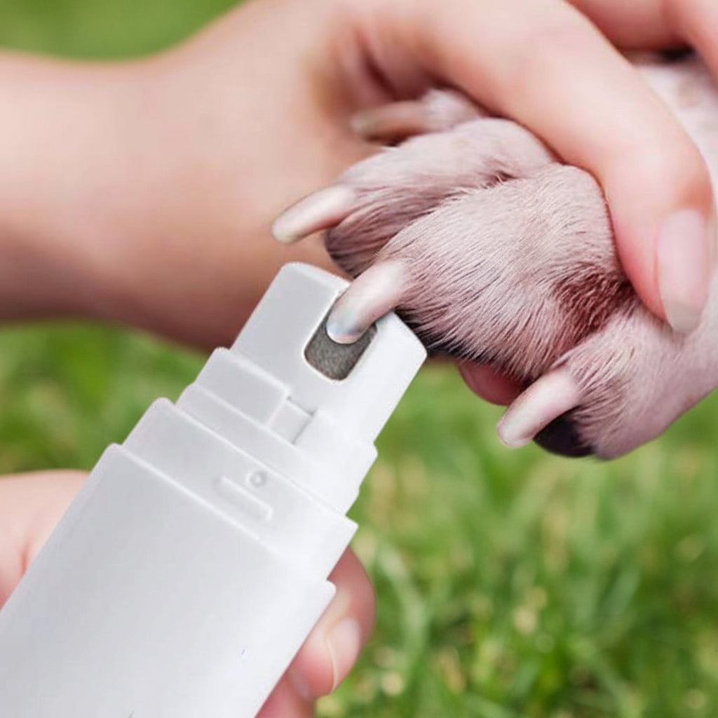 Electric Pet Nail Grinder with LED Light – Safe & Quiet