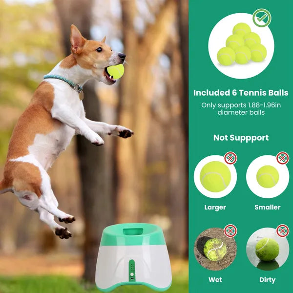 Automatic Dog Ball Launcher – Interactive Fetch Machine with 6 Balls