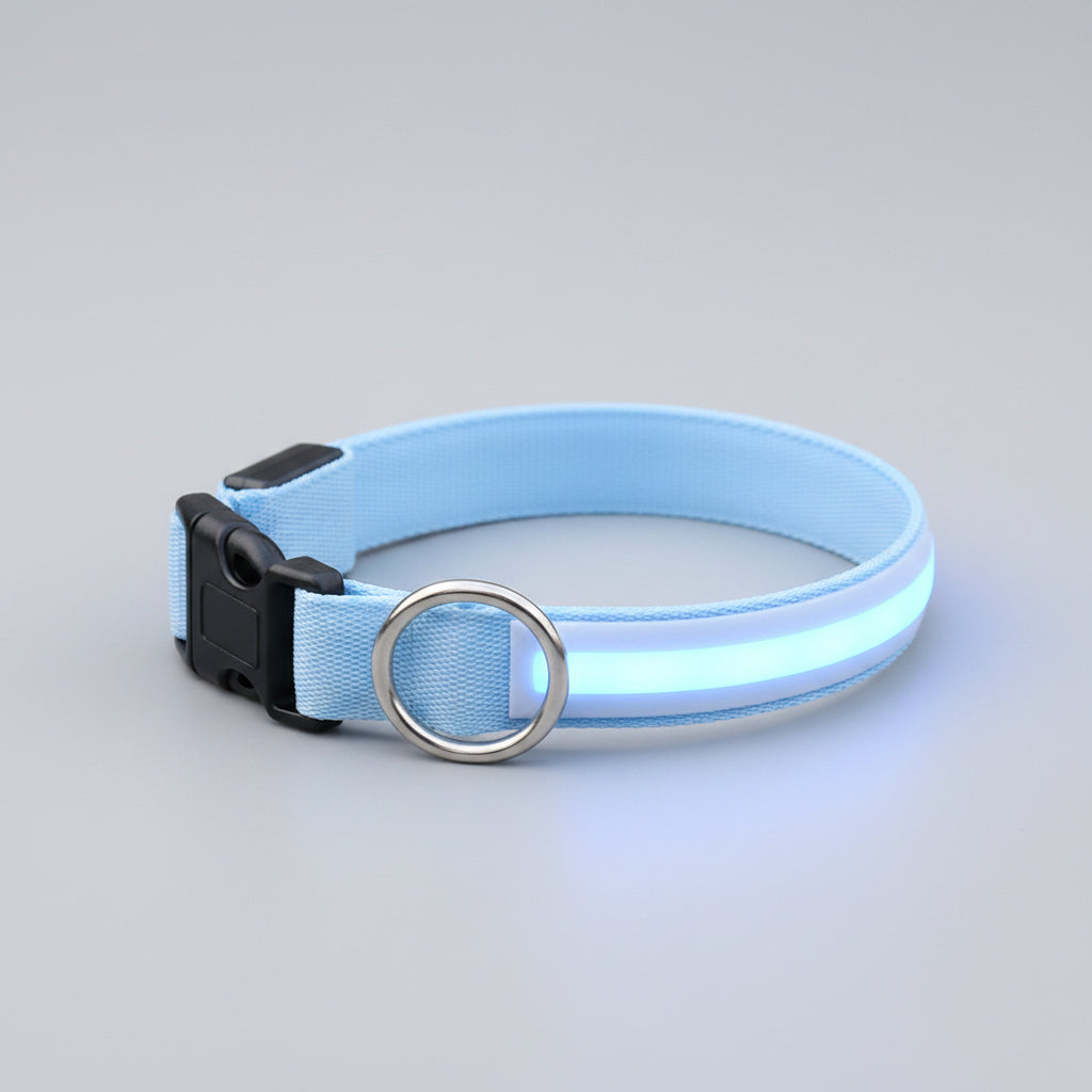 LED Dog Collar – USB Rechargeable Glow Safety Collar for Night Walks