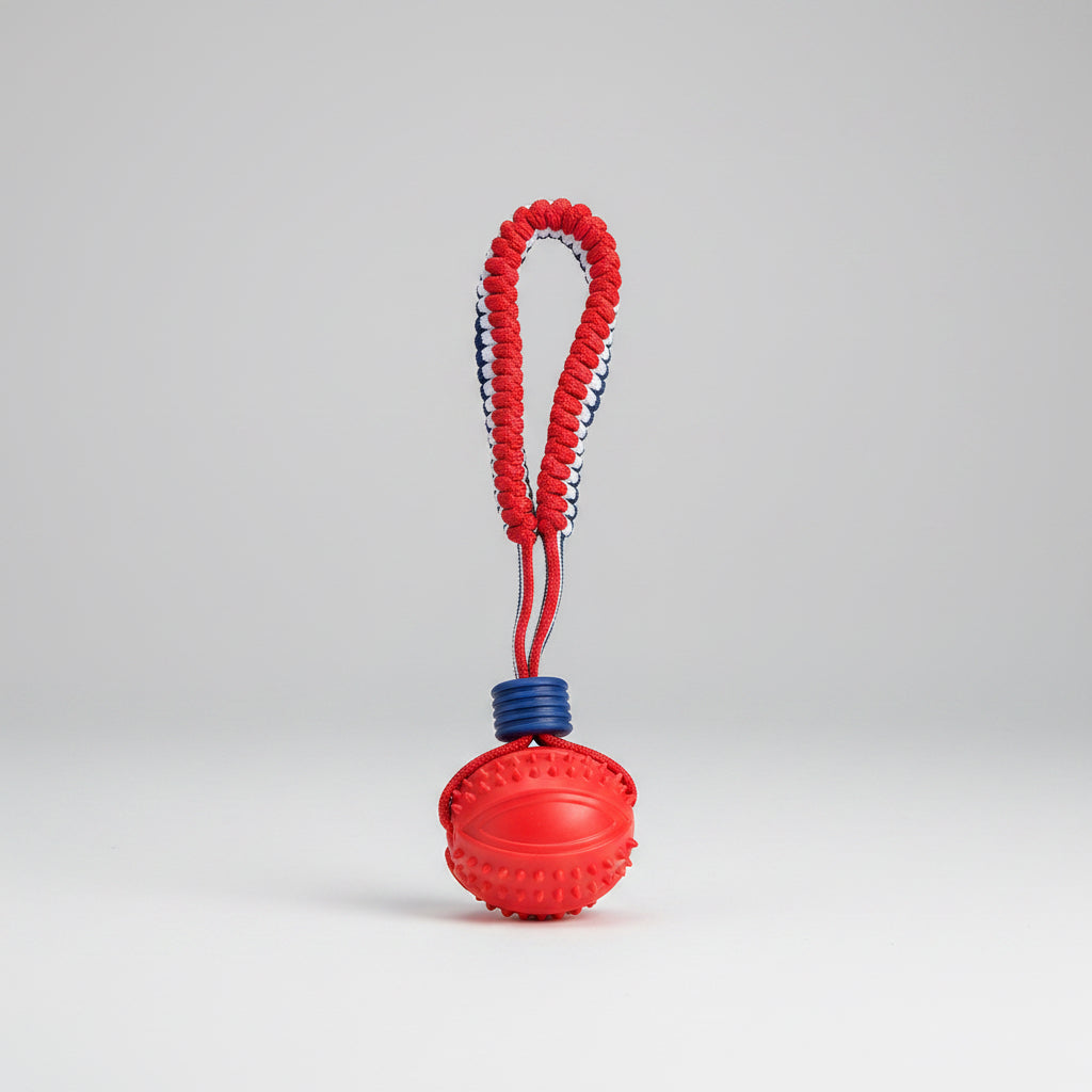 Dog Chew Ball with Rope – Durable Interactive Fetch Toy