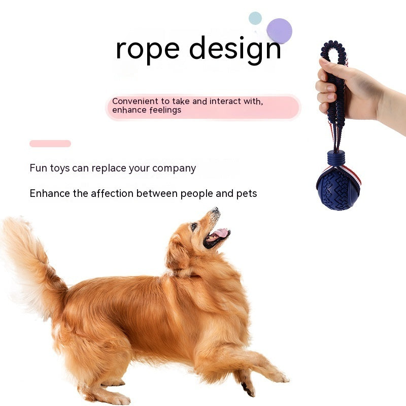 Dog Chew Ball with Rope – Durable Interactive Fetch Toy