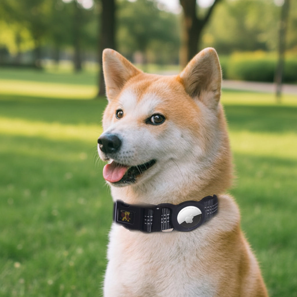 GPS Tracker Collar Sleeve – Fits AirTag & Most Pet Trackers